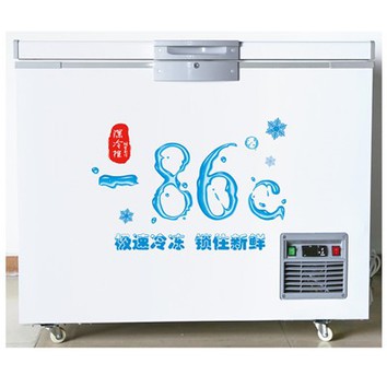 শুকনো বরফ পাত্র